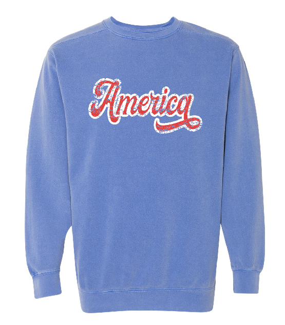 America Adult Crewneck Sweatshirt