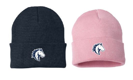 NBE Embroidered Beanie