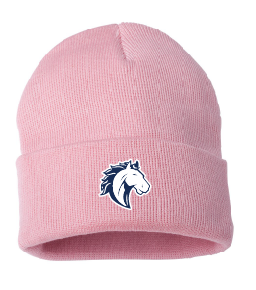 NBE Embroidered Beanie