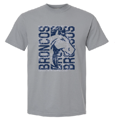 NBE Broncos Adult Short Sleeve