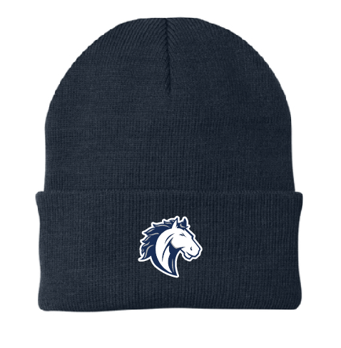 NBE Embroidered Beanie